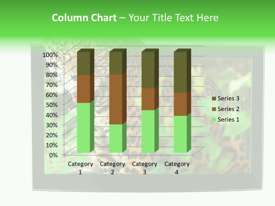 Image Video Movie PowerPoint Template