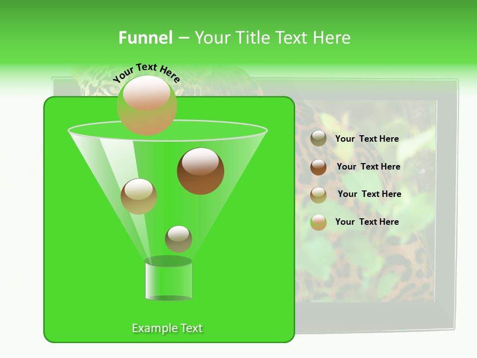 Image Video Movie PowerPoint Template