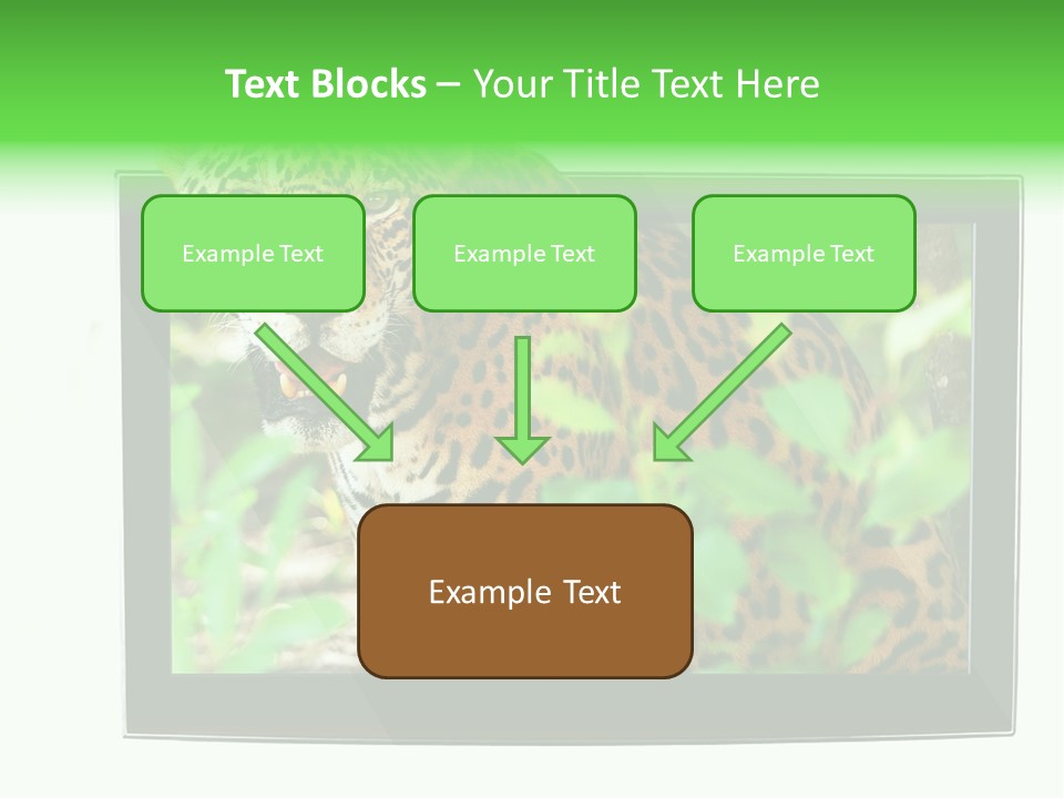 Image Video Movie PowerPoint Template