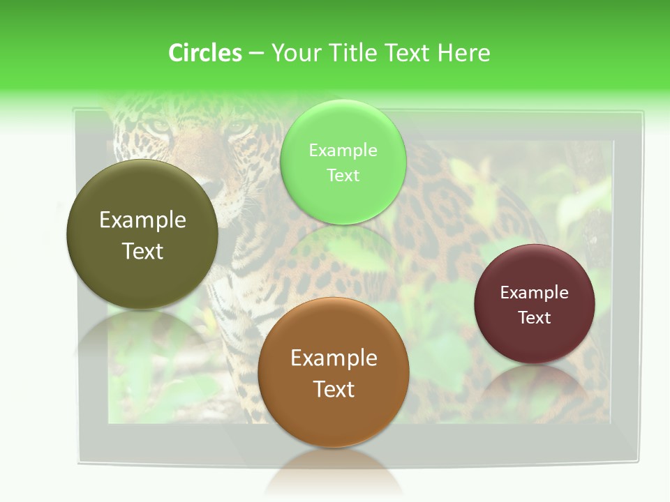 Image Video Movie PowerPoint Template
