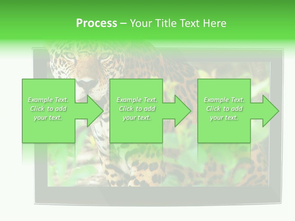Image Video Movie PowerPoint Template