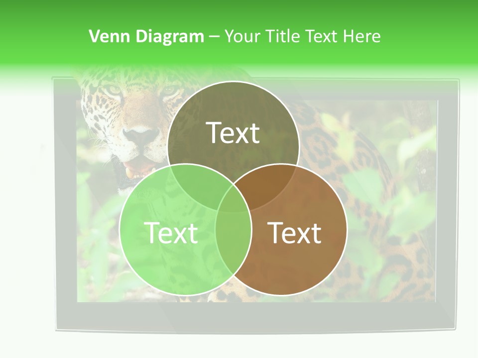 Image Video Movie PowerPoint Template