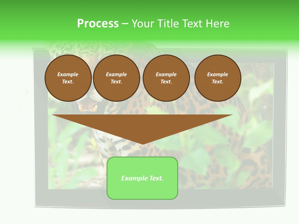 Image Video Movie PowerPoint Template