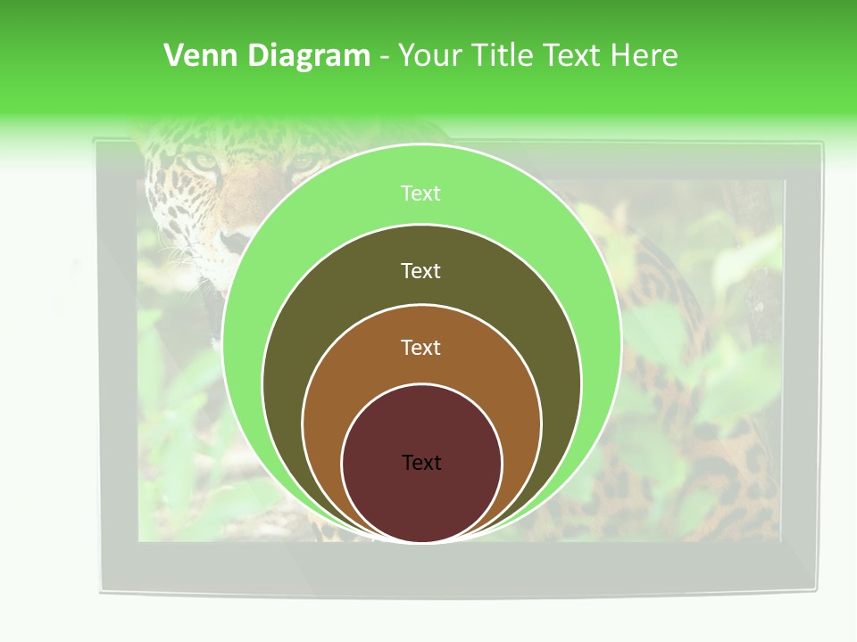 Image Video Movie PowerPoint Template