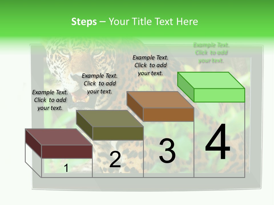 Image Video Movie PowerPoint Template