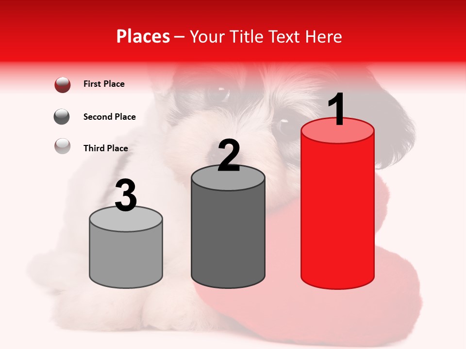 Pet White Dog PowerPoint Template
