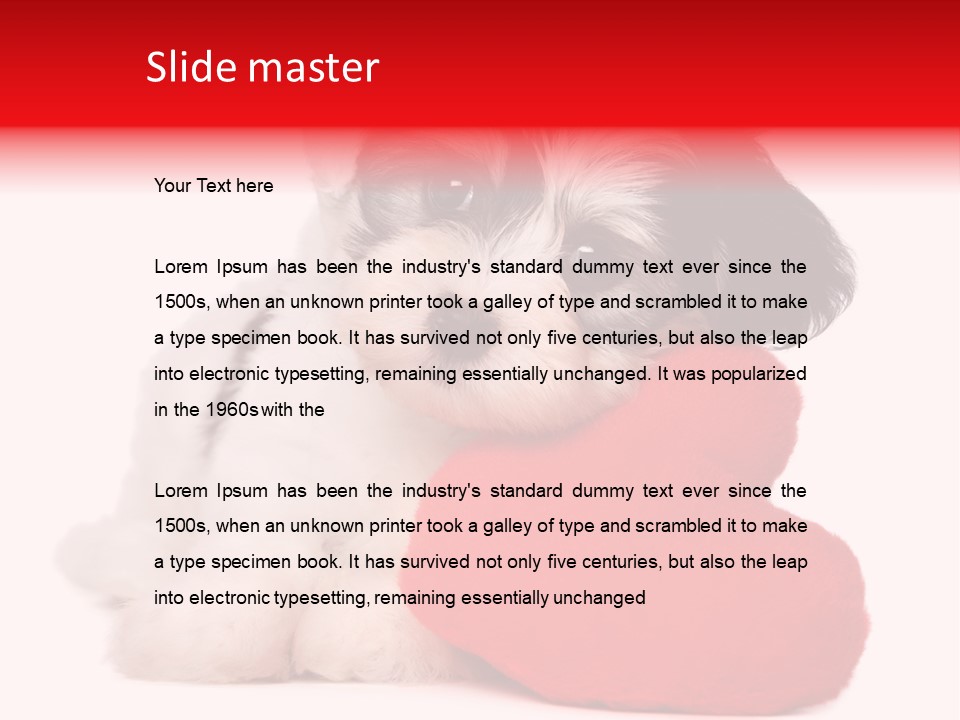 Pet White Dog PowerPoint Template