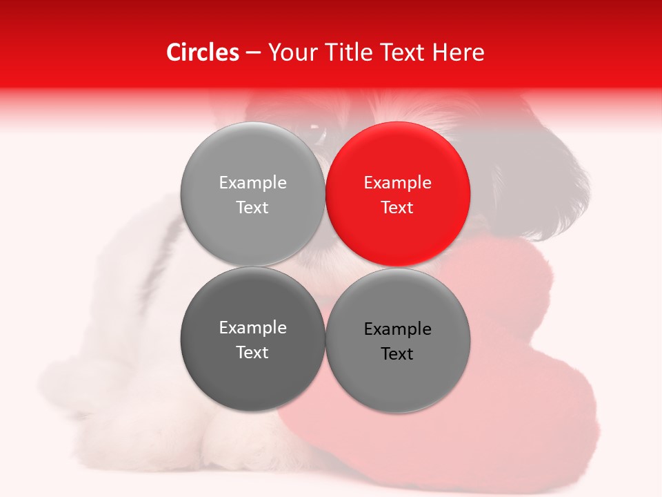 Pet White Dog PowerPoint Template