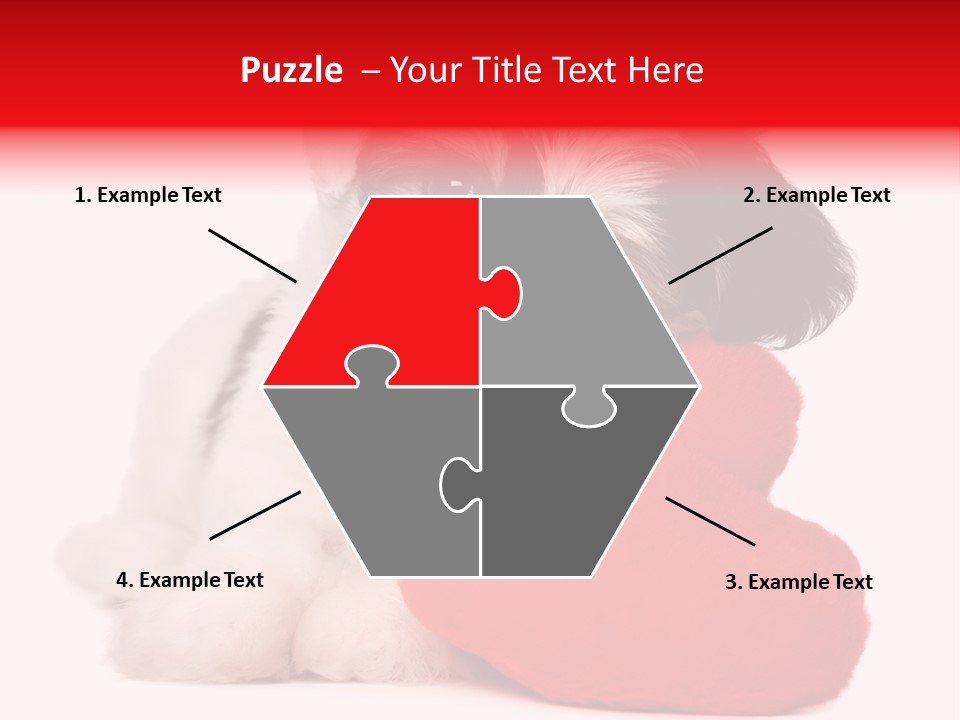 Pet White Dog PowerPoint Template