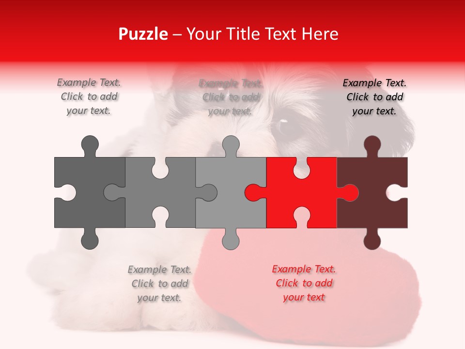 Pet White Dog PowerPoint Template