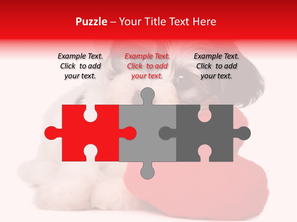 Pet White Dog PowerPoint Template