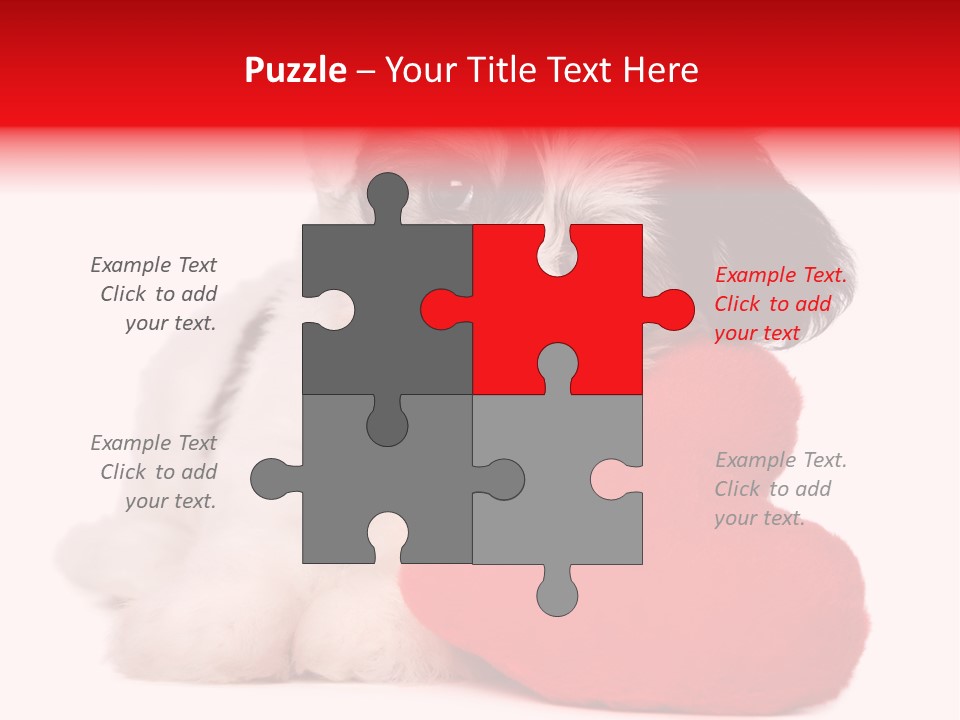 Pet White Dog PowerPoint Template