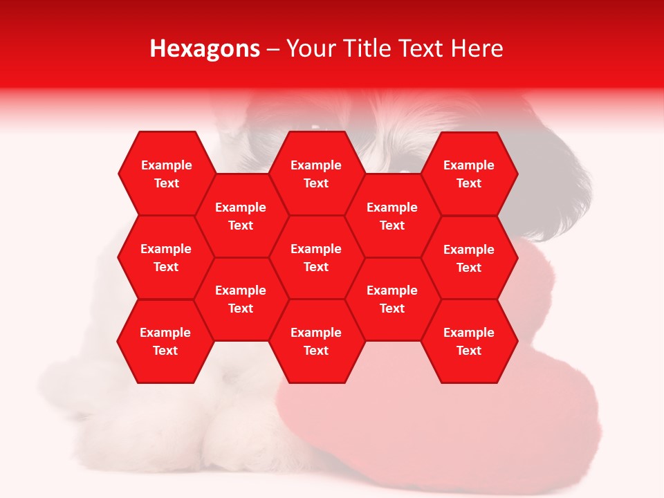 Pet White Dog PowerPoint Template