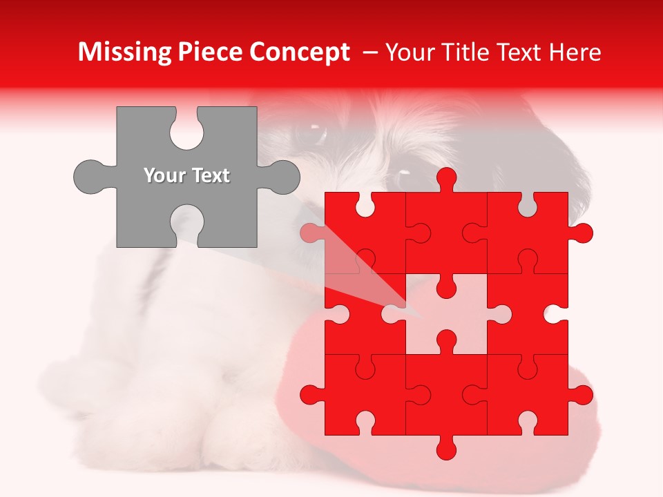 Pet White Dog PowerPoint Template