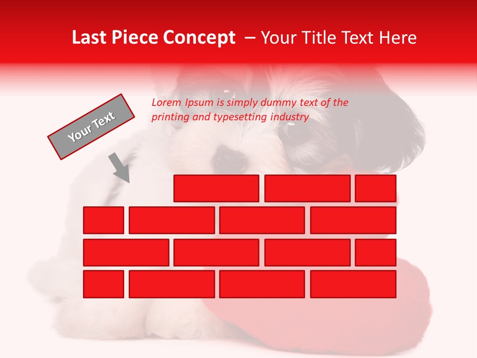 Pet White Dog PowerPoint Template