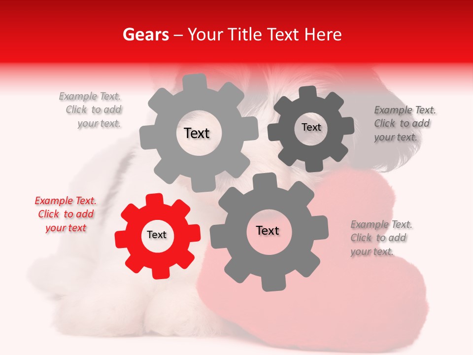Pet White Dog PowerPoint Template