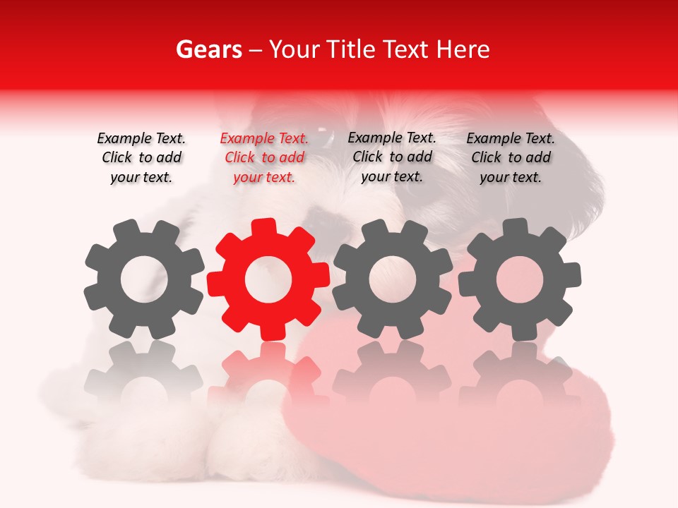 Pet White Dog PowerPoint Template