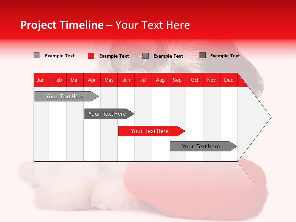 Pet White Dog PowerPoint Template