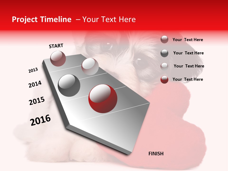 Pet White Dog PowerPoint Template