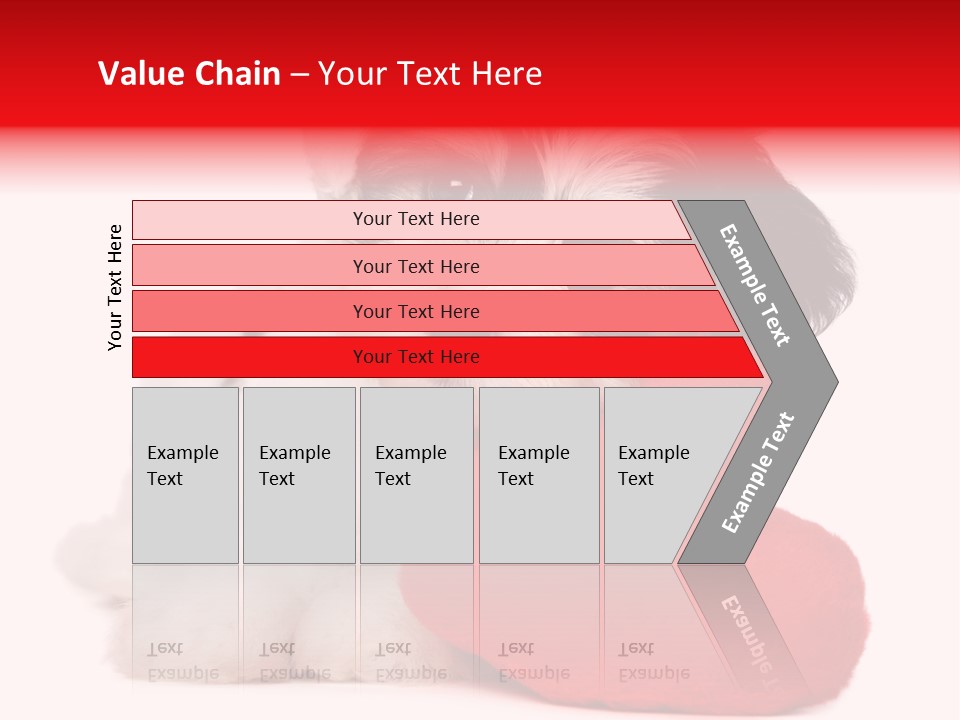 Pet White Dog PowerPoint Template