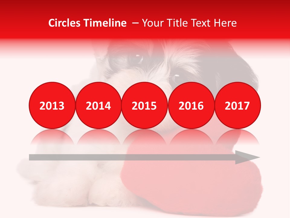 Pet White Dog PowerPoint Template