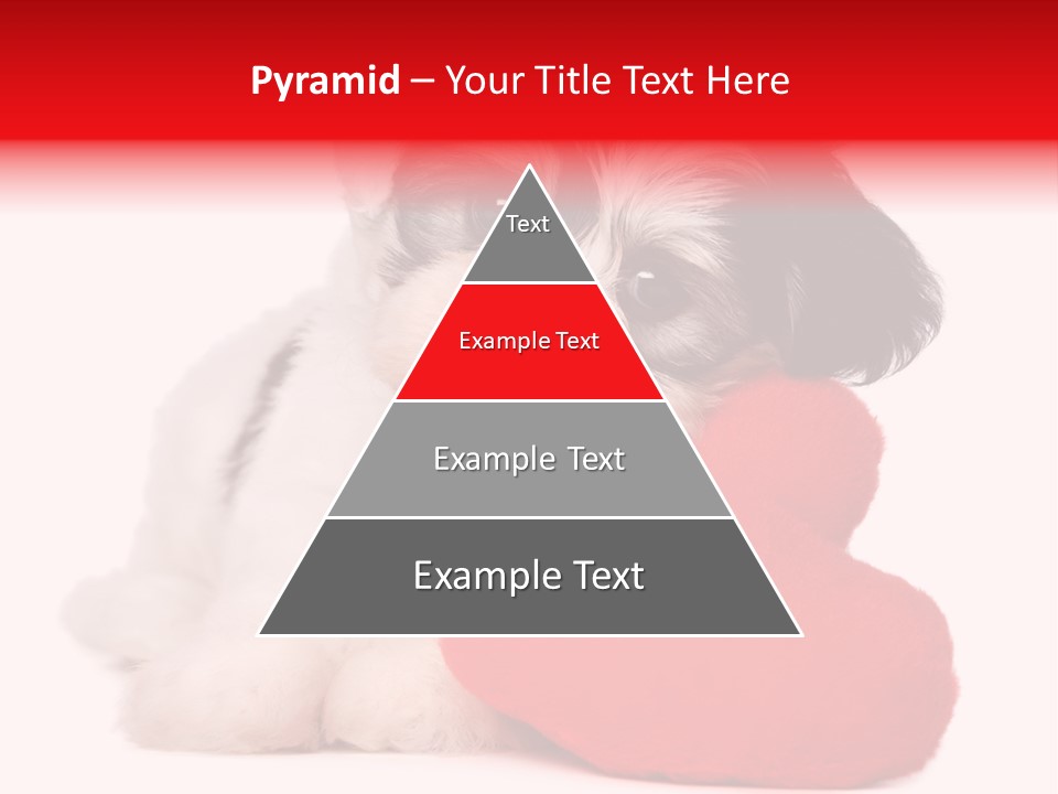 Pet White Dog PowerPoint Template