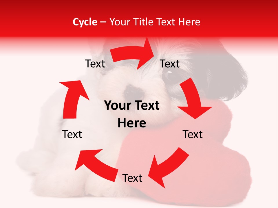 Pet White Dog PowerPoint Template