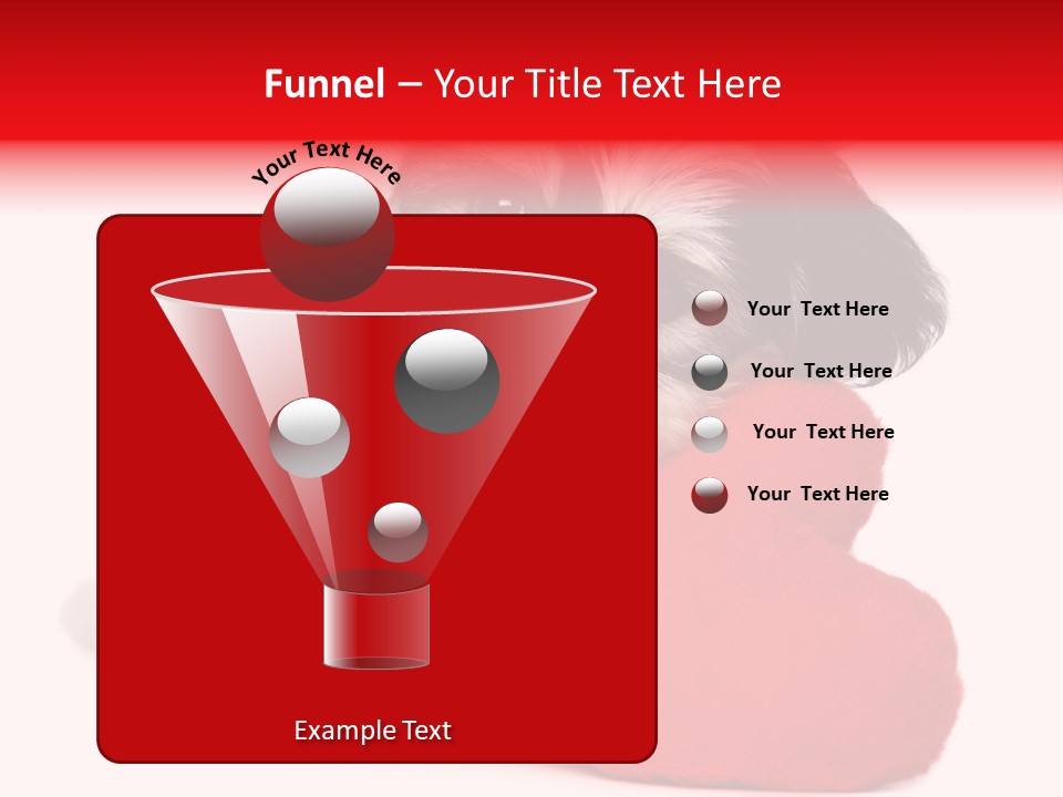 Pet White Dog PowerPoint Template