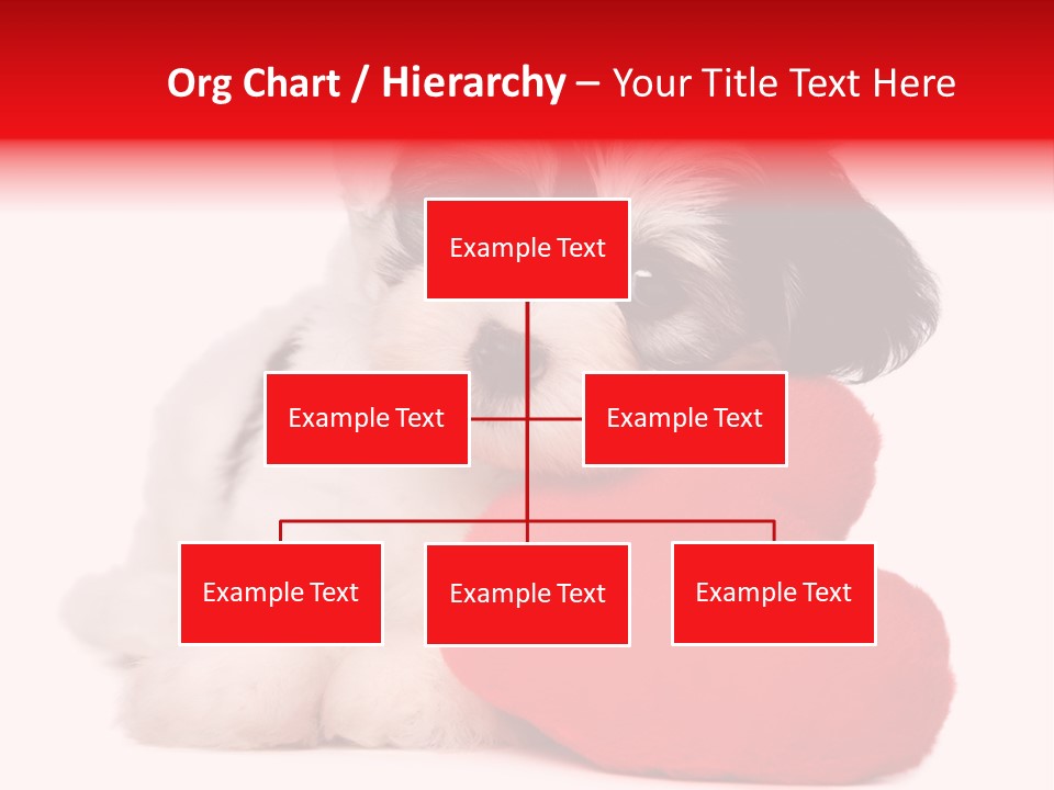 Pet White Dog PowerPoint Template