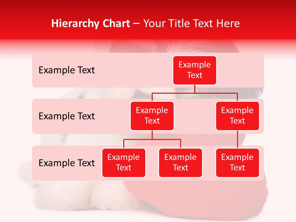 Pet White Dog PowerPoint Template
