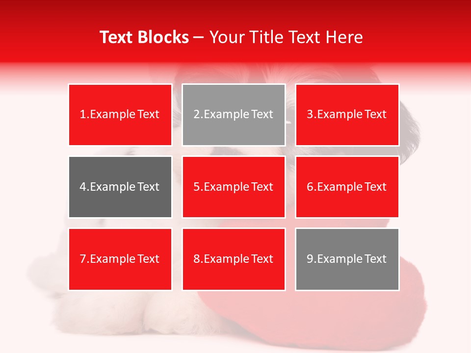 Pet White Dog PowerPoint Template