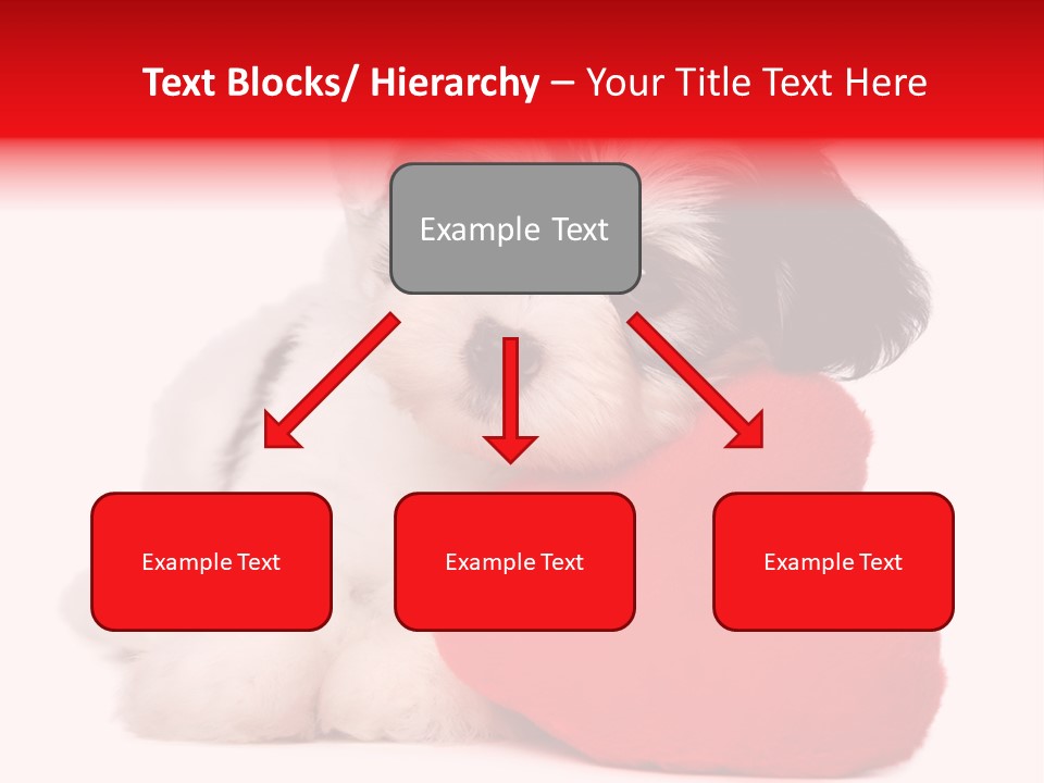 Pet White Dog PowerPoint Template