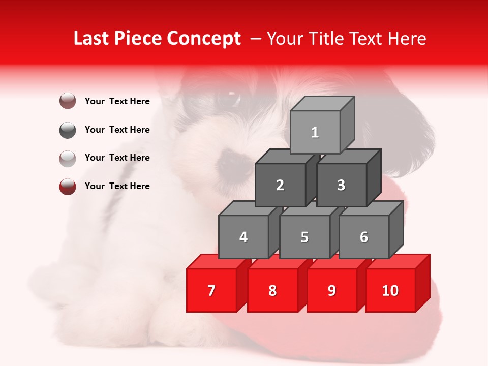 Pet White Dog PowerPoint Template