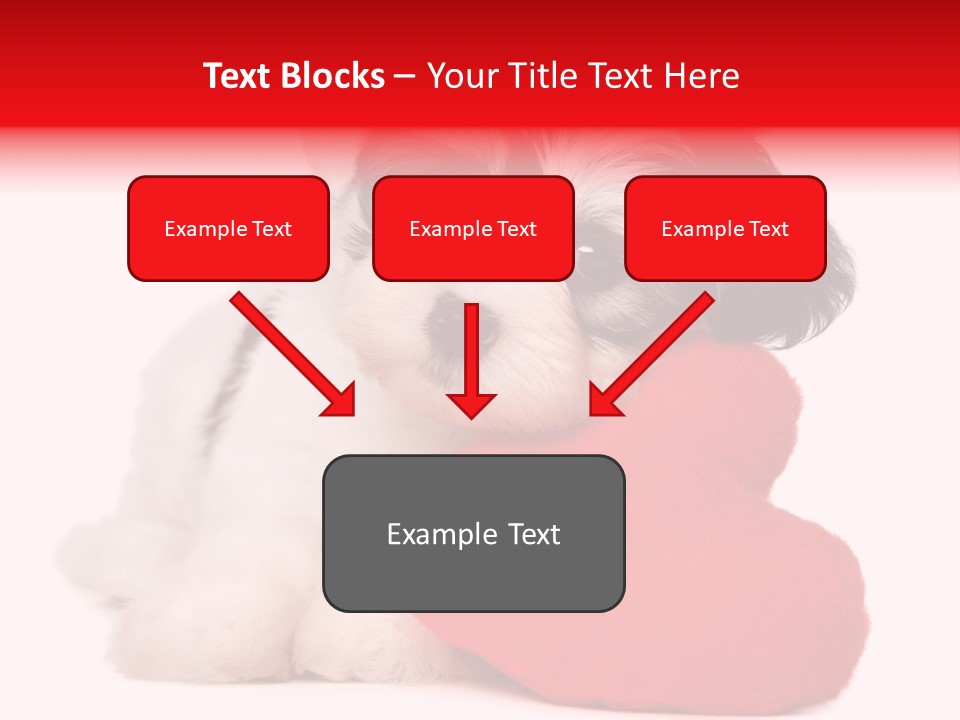 Pet White Dog PowerPoint Template