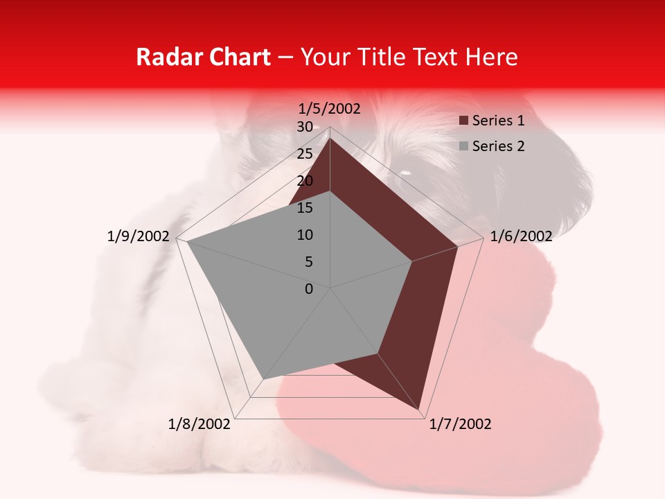 Pet White Dog PowerPoint Template