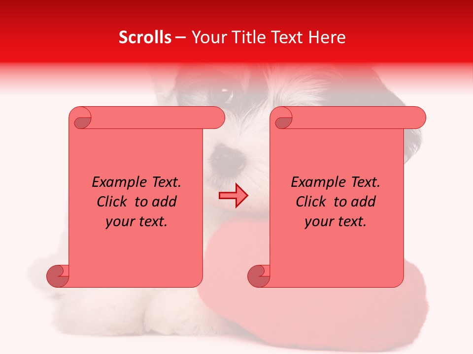 Pet White Dog PowerPoint Template