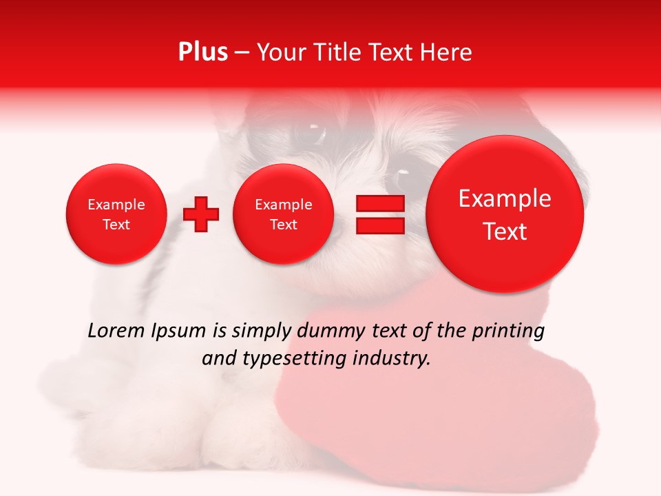 Pet White Dog PowerPoint Template