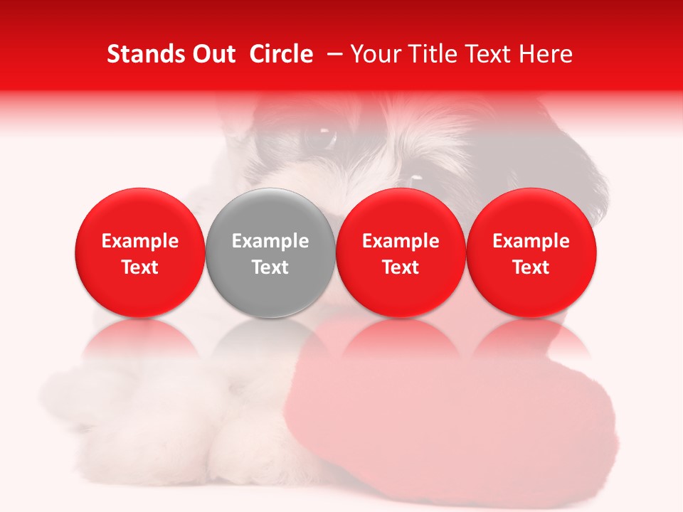 Pet White Dog PowerPoint Template