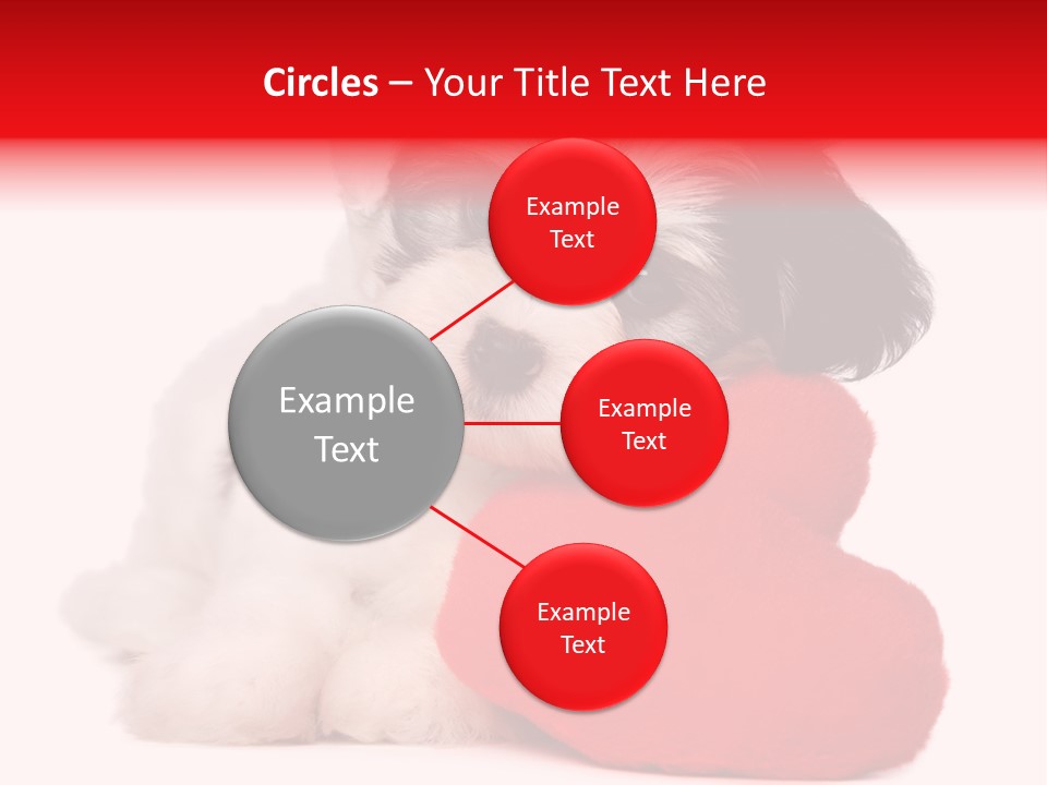 Pet White Dog PowerPoint Template