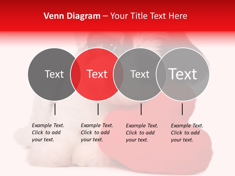 Pet White Dog PowerPoint Template