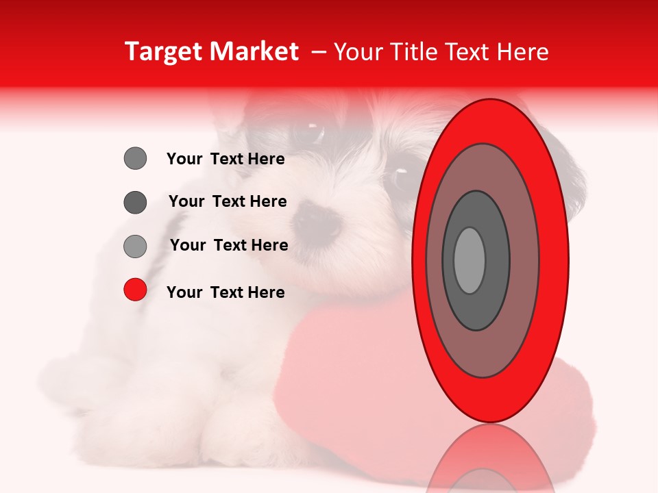 Pet White Dog PowerPoint Template