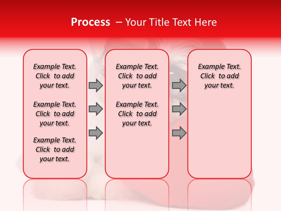 Pet White Dog PowerPoint Template