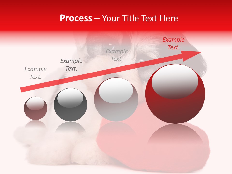 Pet White Dog PowerPoint Template