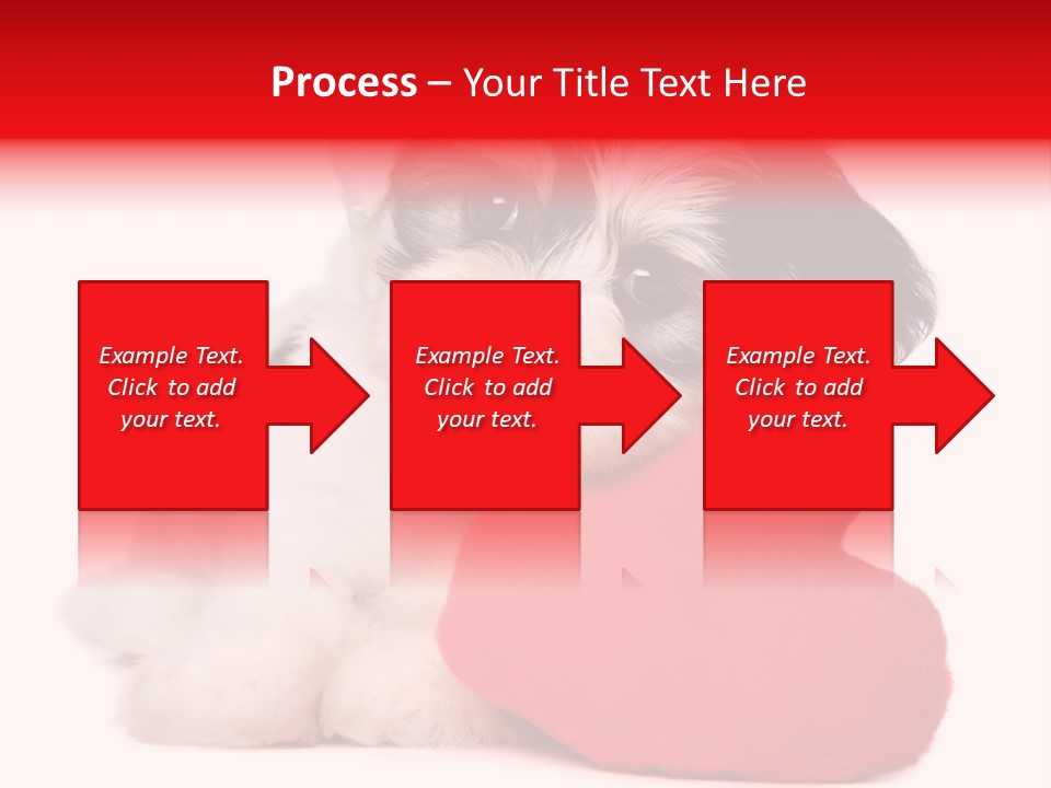 Pet White Dog PowerPoint Template