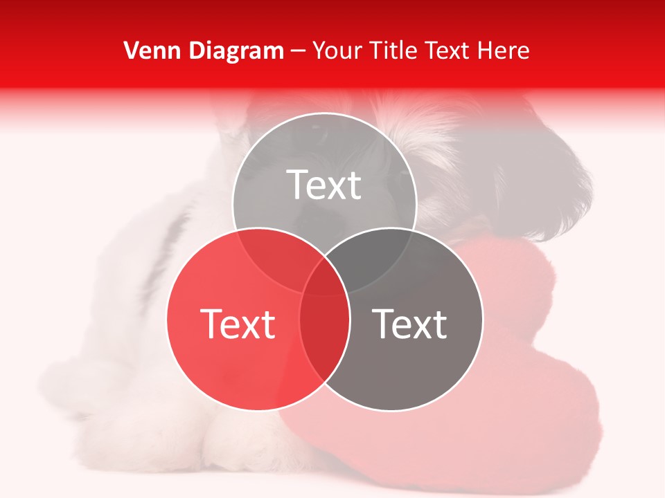 Pet White Dog PowerPoint Template