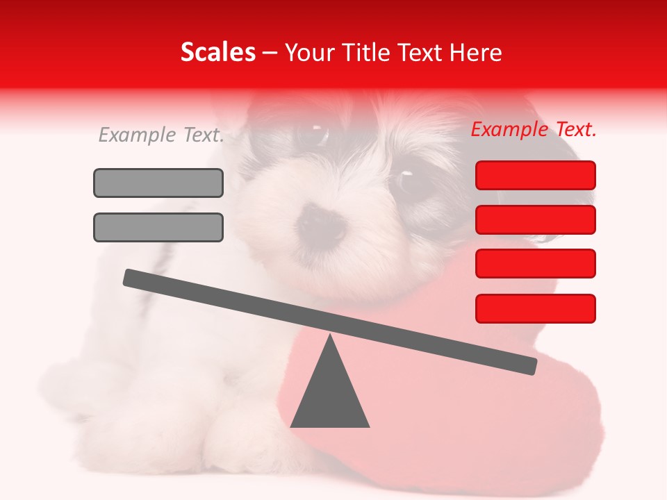 Pet White Dog PowerPoint Template