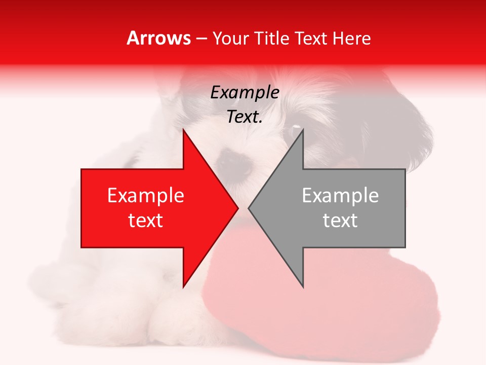 Pet White Dog PowerPoint Template