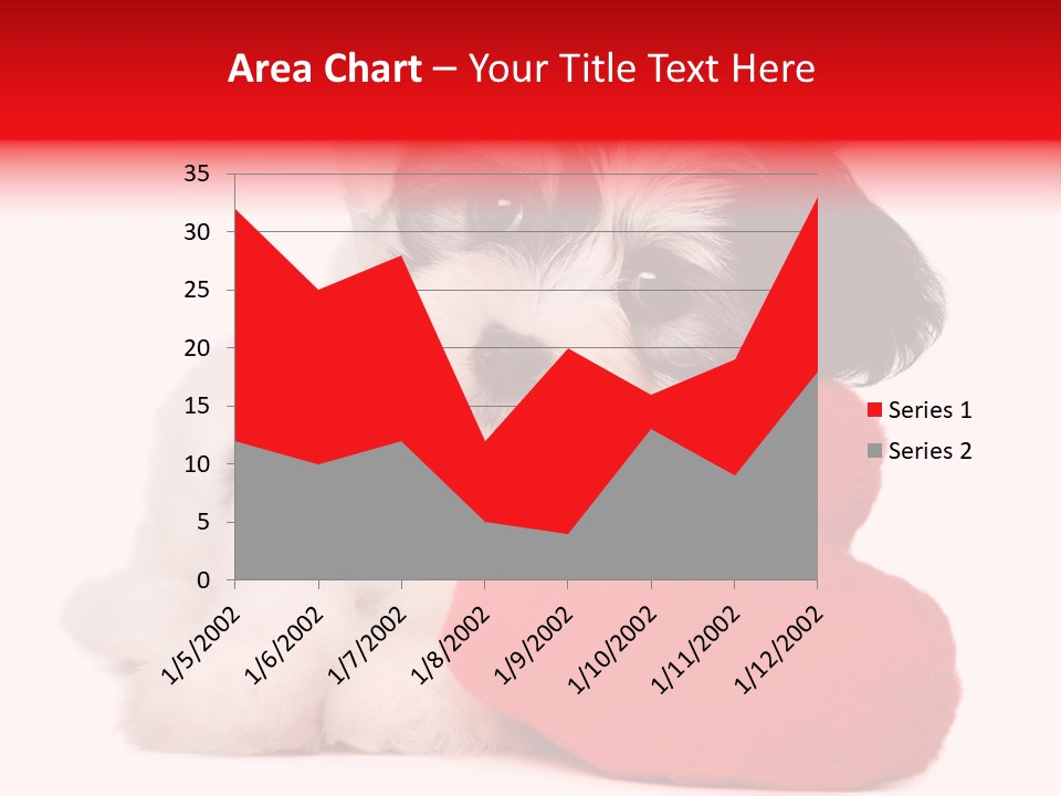 Pet White Dog PowerPoint Template