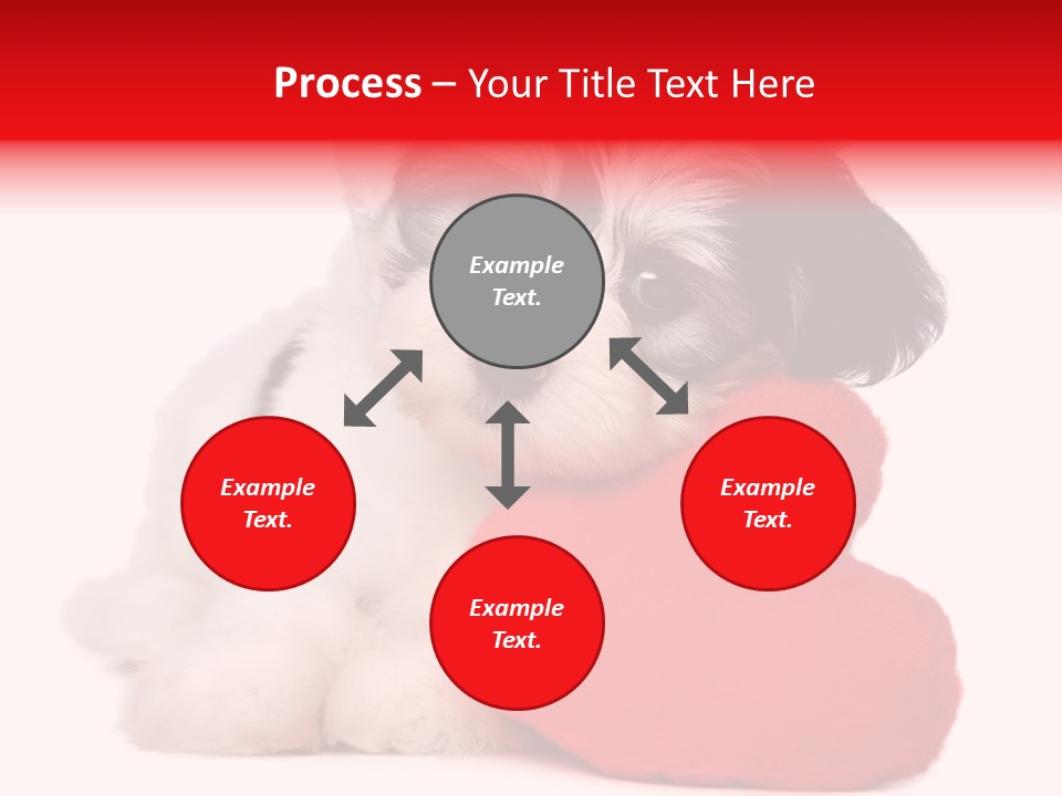 Pet White Dog PowerPoint Template