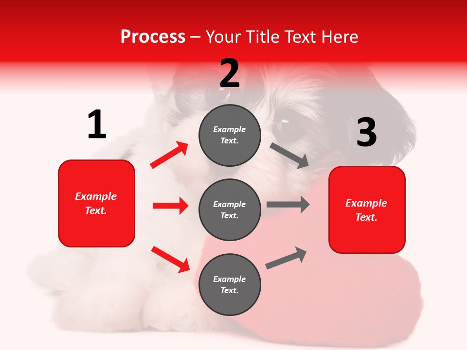 Pet White Dog PowerPoint Template